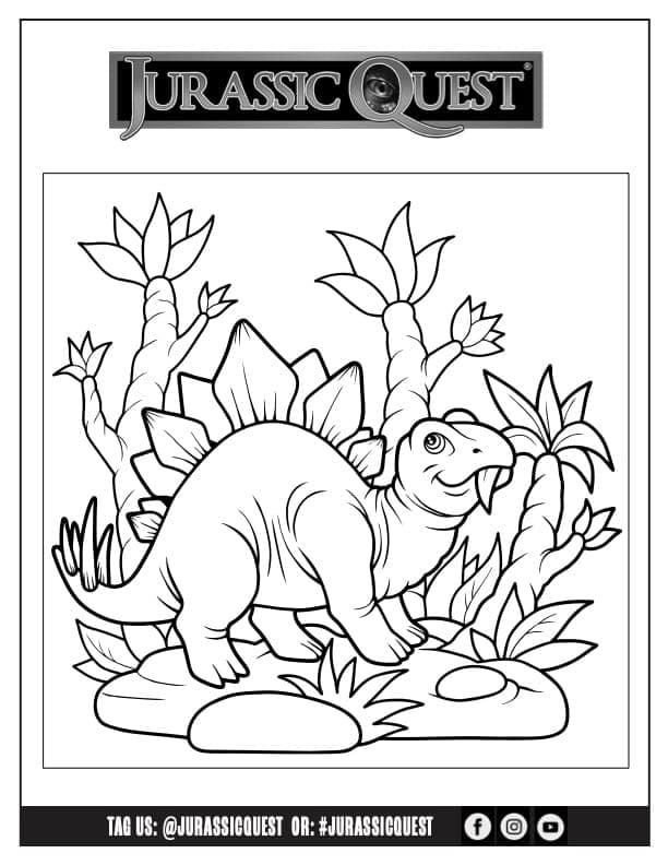 Activity print out thumbnail