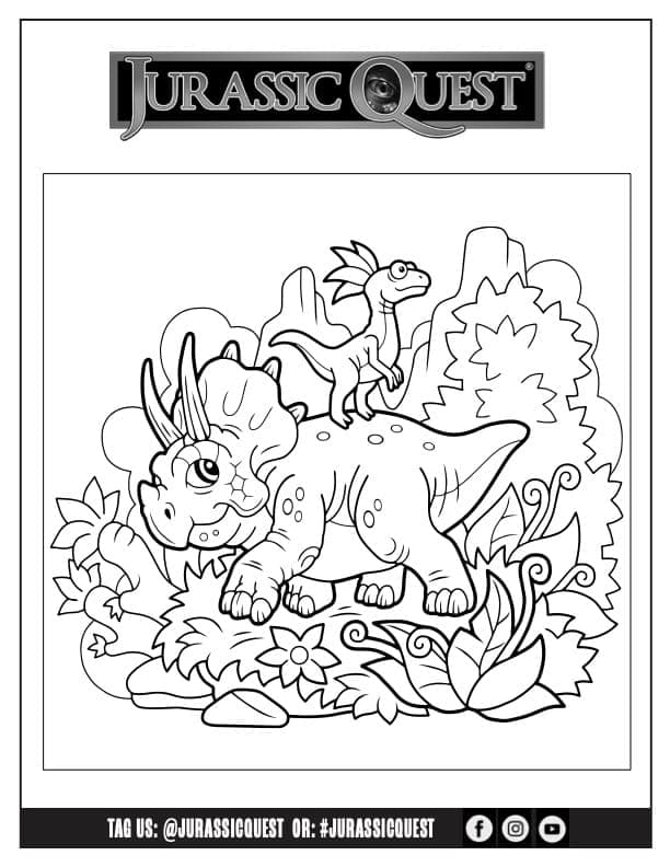 Activity print out thumbnail