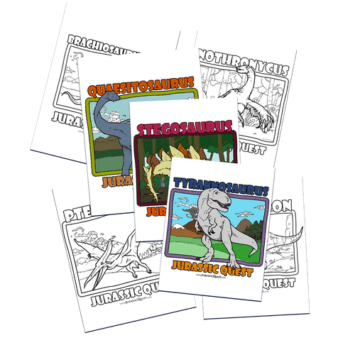 Activity print out thumbnail