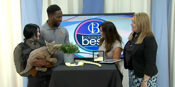 Image from news segment