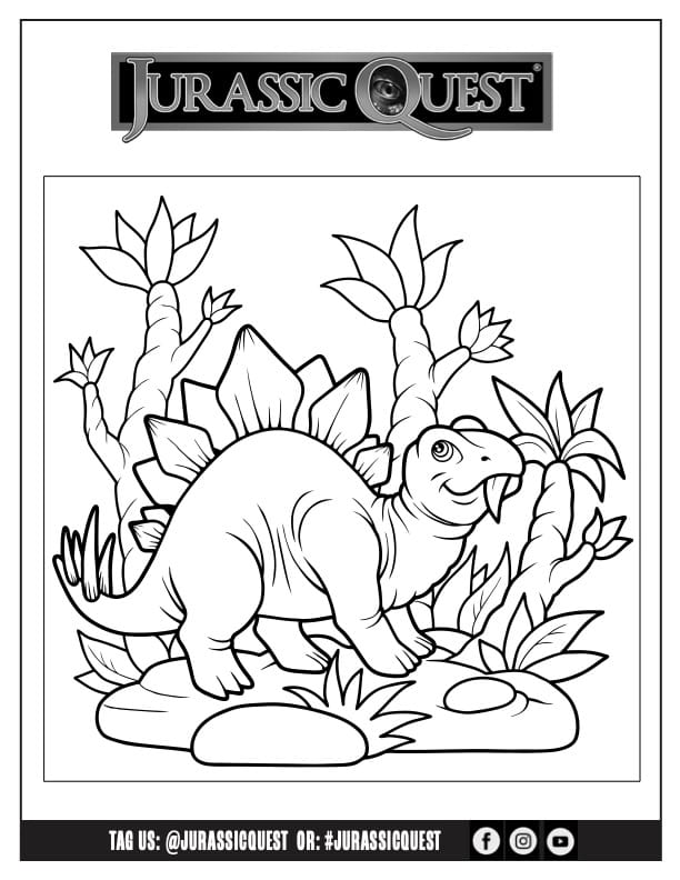 Activity print out thumbnail