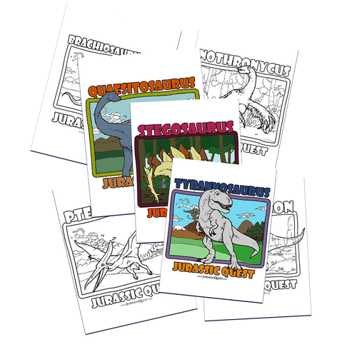 Activity print out thumbnail