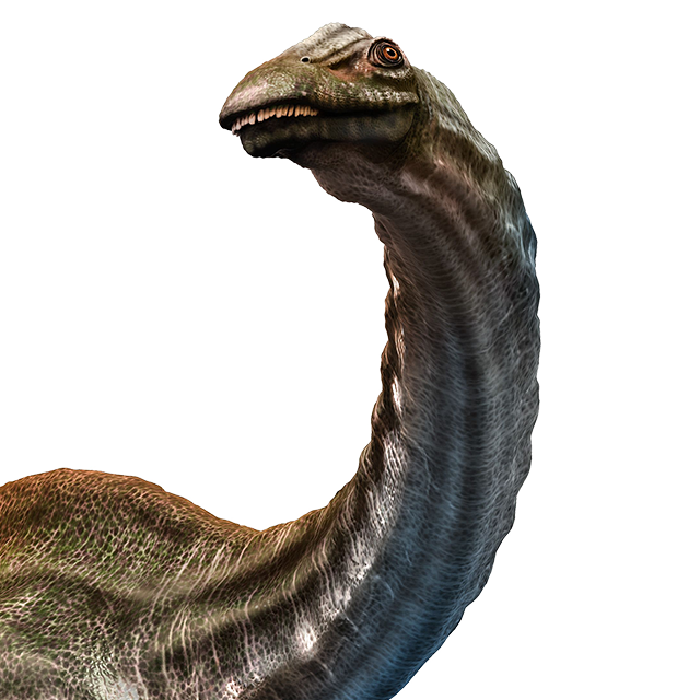 Apatosaurus