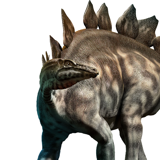 Stegosaurus