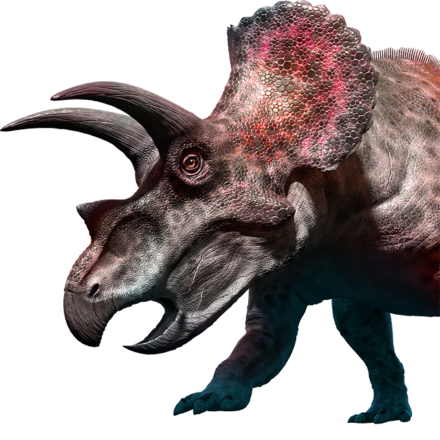 Triceratops