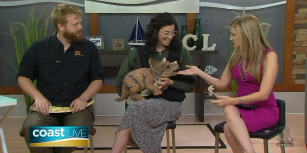 Image from news segment