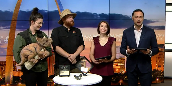 Image from news segment